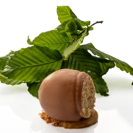 호텔 Il Boscareto &