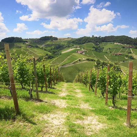 호텔 Il Boscareto & 5*