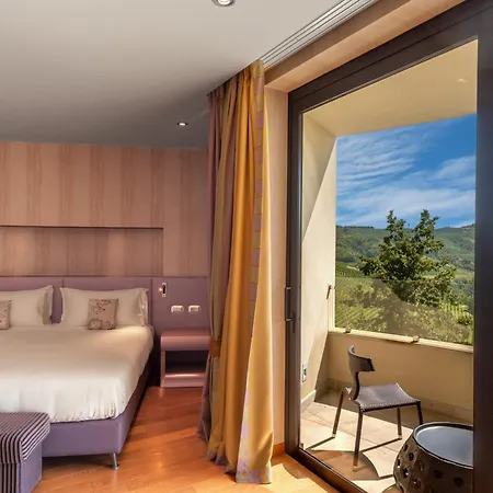 Il Boscareto Resort&spa 5* Serralunga d'Alba