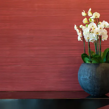 Il Boscareto Resort&spa Hotel